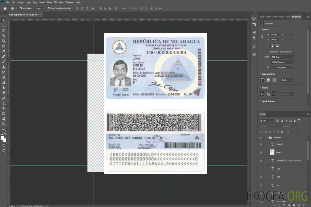 Identité nicaraguayenne template Identité nicaraguayenne template